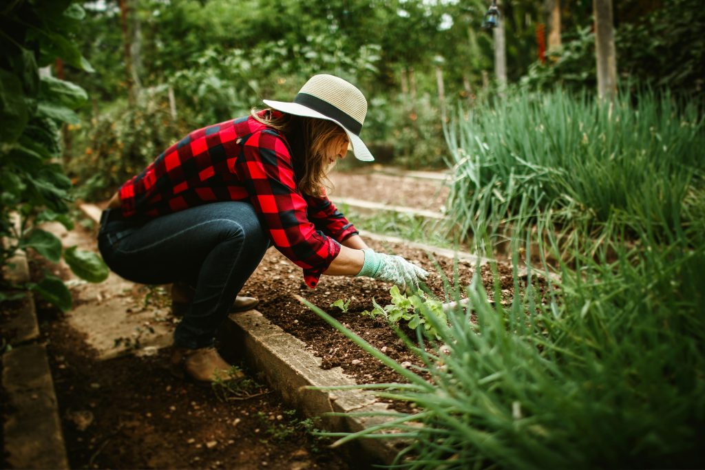 Moestuin ideeën voor elke tuin: haal meer uit je eigen stukje groen